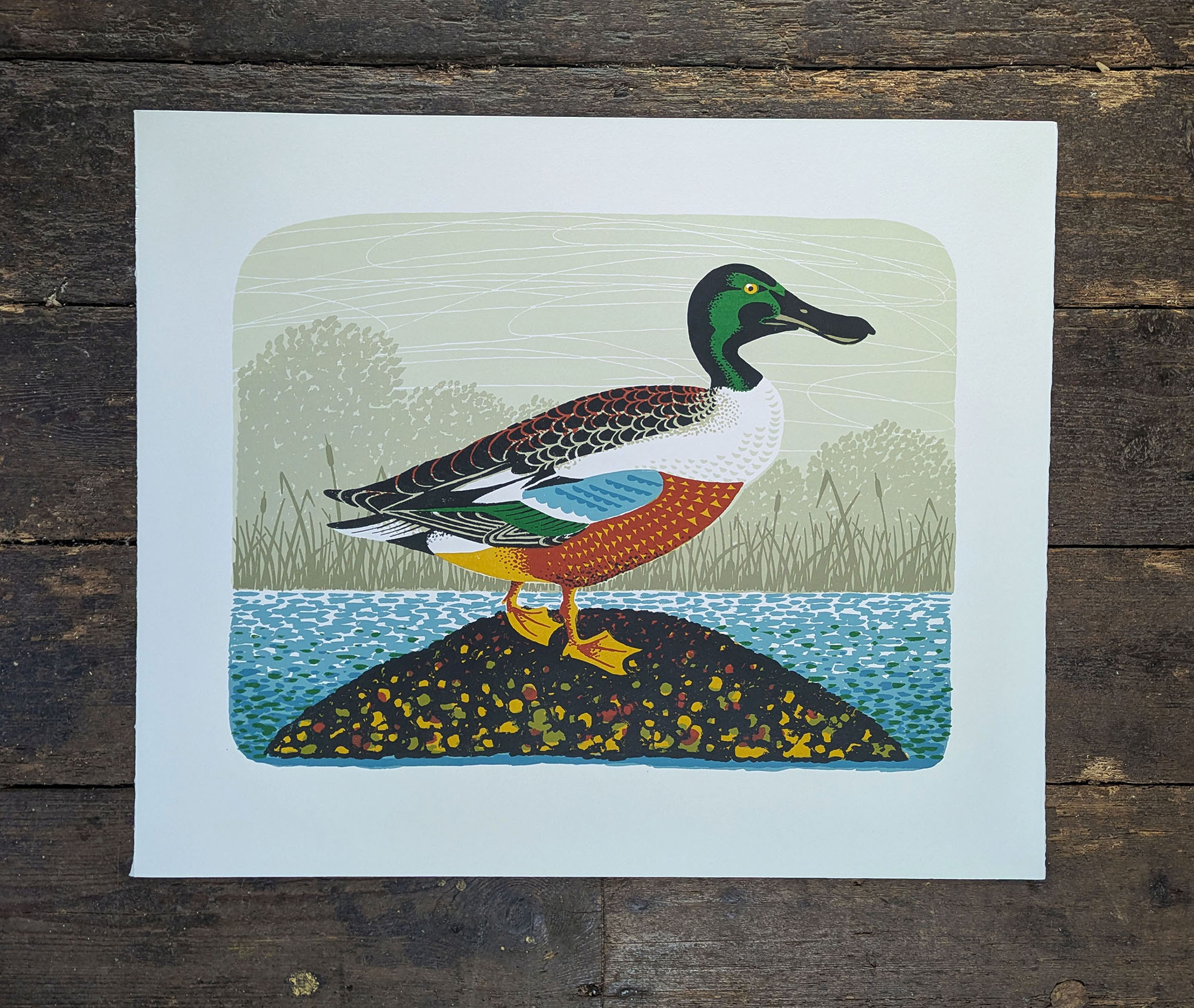 Tom Frost Shoveler